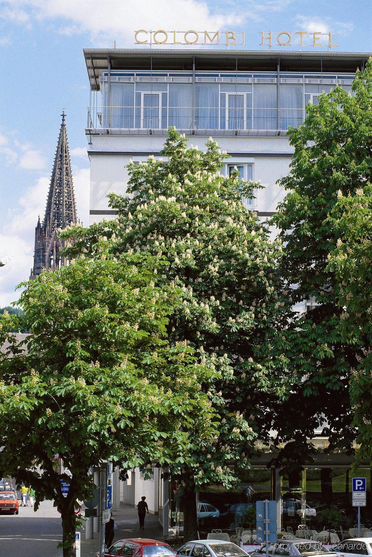 Colombi Hotel Freiburg im Breisgau Kültér fotó The tree in 2011